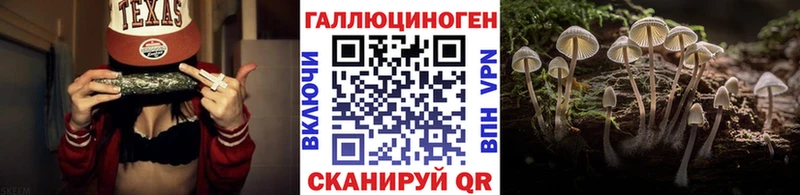 Галлюциногенные грибы Psilocybe  Купить где  Руза 